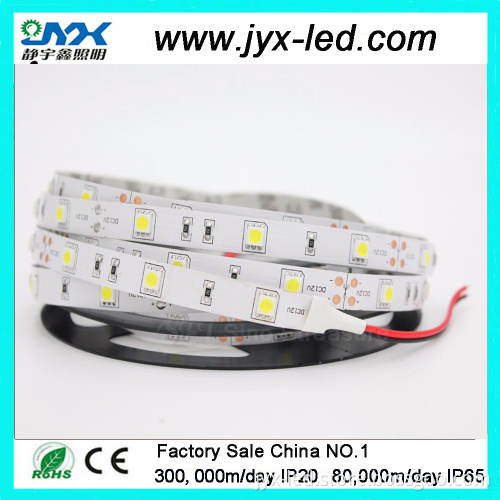 IN STOCK 5050smd White Waterproof LED flexible strip light for christmas,DC12V/24V 7.2W LED rope/ string light 30led/m